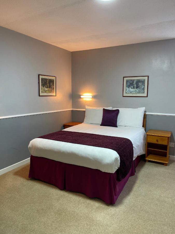 Palm Court B&B Ilfracombe Eksteriør billede